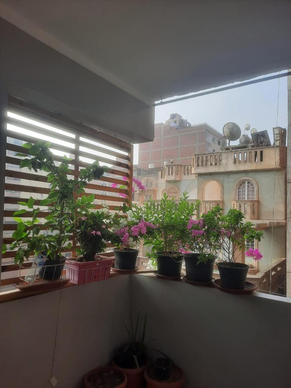 غرفة بمنزل هادئ مناسب للعائلة Cairo